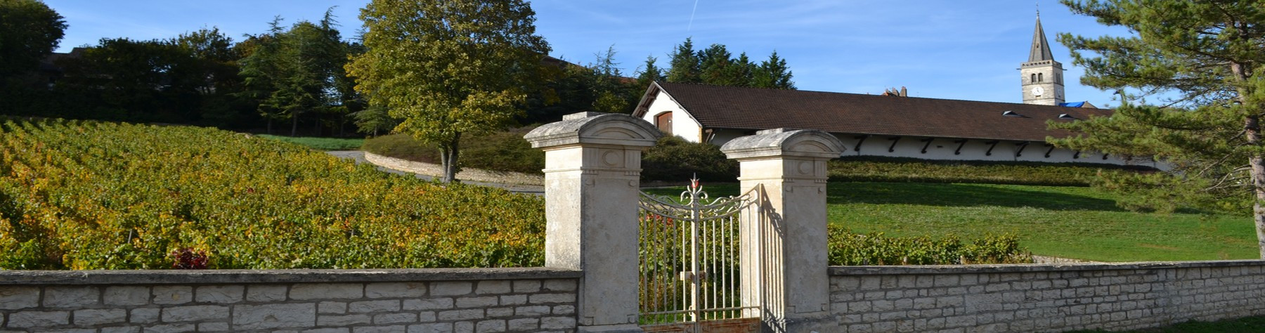 Domaine Paul Jacqueson à Rully